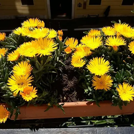 Charming House 2* Roma